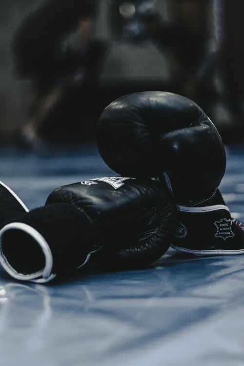 Combat Sports' Reckoning: How 2026's Fighter Exodus and Regulatory Fragmentation Threaten Industry Stability