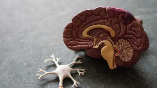 FDA Approves Revolutionary Psilocybin Therapy for Treatment-Resistant Depression: A New Era in Mental Health Care