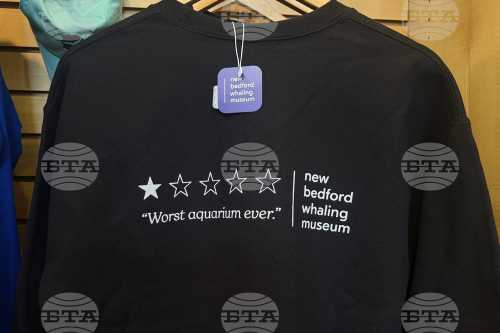 Massachusetts Museum's 'Worst Aquarium Ever' Merchandise Becomes Viral Sensation After One-Star Review Backfires