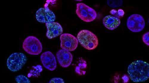 Medical Research's September Reckoning: CRISPR, AI, and the Collapse of Chronic Care Models