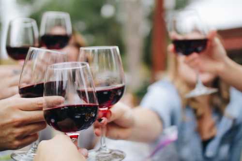 Niagara Icewine Festival 2026 Celebrates Culinary Excellence