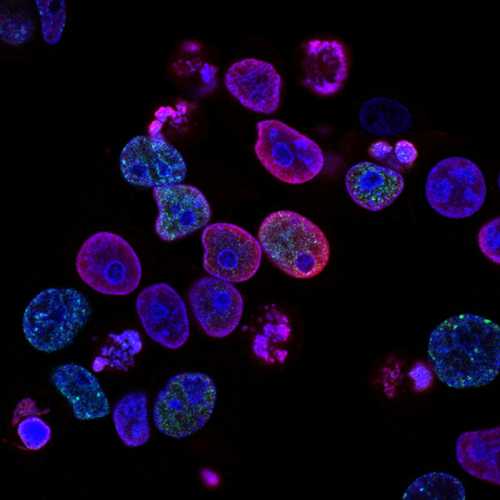 The Biological Venture Capital Model: How AI, Gene Editing, and Metabolic Therapeutics are Rewiring Healthcare