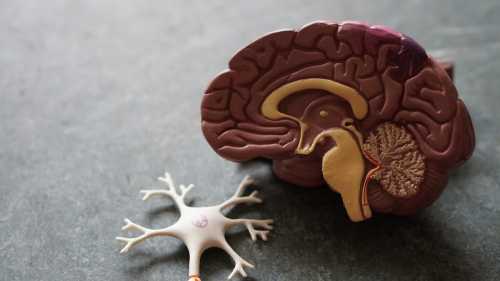 The Blockbuster Recast: Why the GLP-1 Alzheimer's Failure is Rewiring Biotech Capital Markets