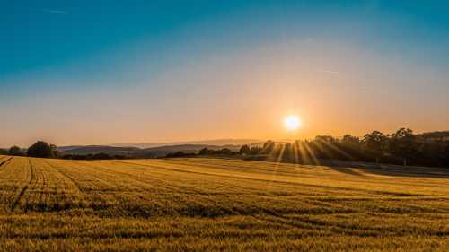 The Great Summer Sun: Understanding the Extreme Heat Warnings Across the United Kingdom in 2026