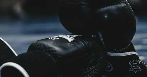 The Octagon Monopoly Fractures: How Sovereign Capital and Biometric Securitization Are Rewiring Combat Sports Economics
