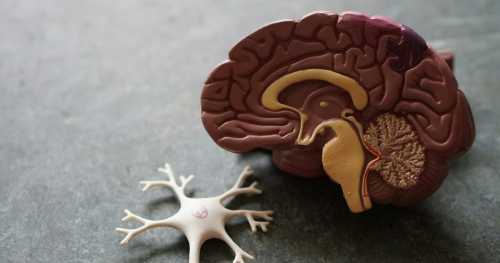 The Privatized Psyche: How Biometric Mandates and Out-of-Pocket Neurology are Financializing Mental Health