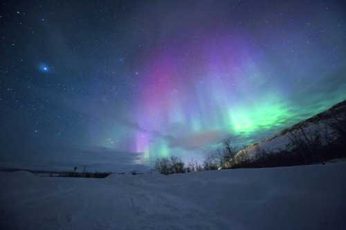 The Sky is Awake: A Historic Solar Storm Sparks a Massive Viral Aurora Citizen-Science Movement in Canada