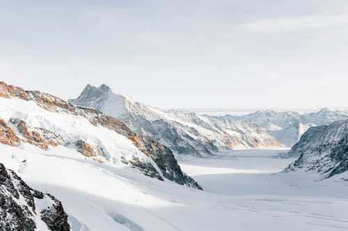 The Snowbound Athletes: Health Canada Unveils 'Winter-Proof' Nutrition and Fitness Curriculum for Schools