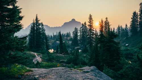 Turning Canadian Forests into a Broken World: The Magic of The Last of Us Season 3 <i class="fa fa-tree"></i>