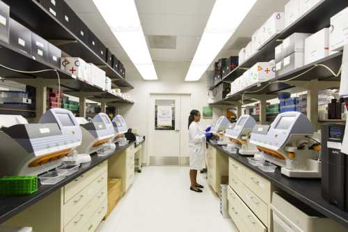 Vitamin D May Aid Late-Stage Colorectal Cancer Treatment But Which Dosage Is Best